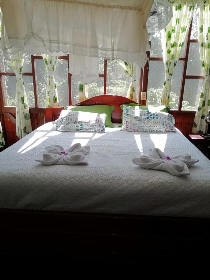 Yarina Eco Lodge Derna Zewnętrze zdjęcie