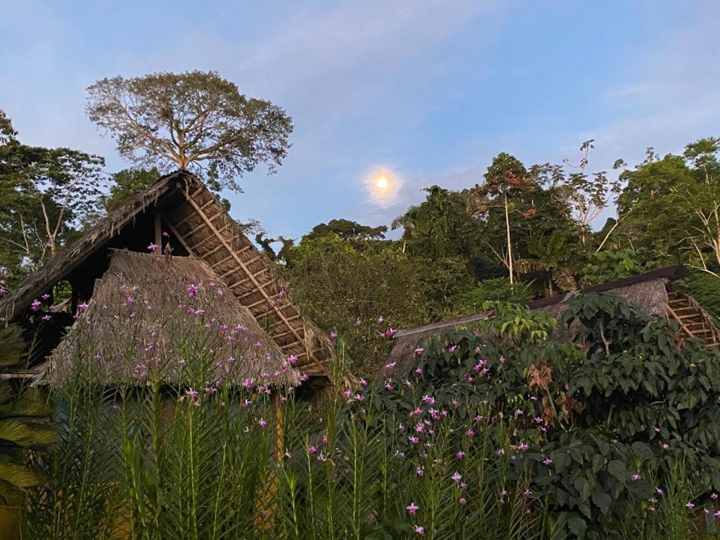 Yarina Eco Lodge Derna Zewnętrze zdjęcie